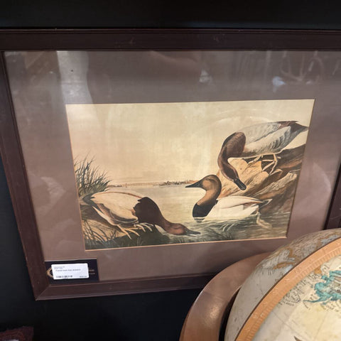 Framed Duck Print 16.5x20.5