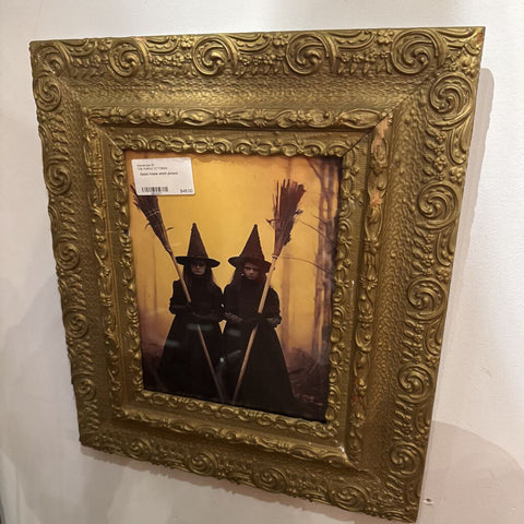 Good frame witch picture