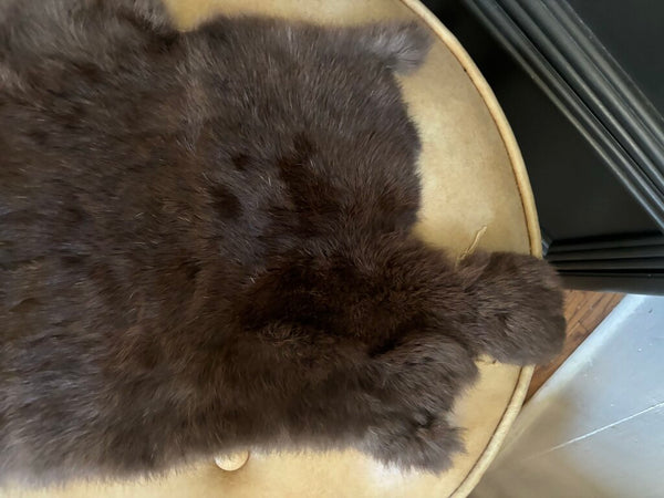 Vintage Animal Pelt 19x10