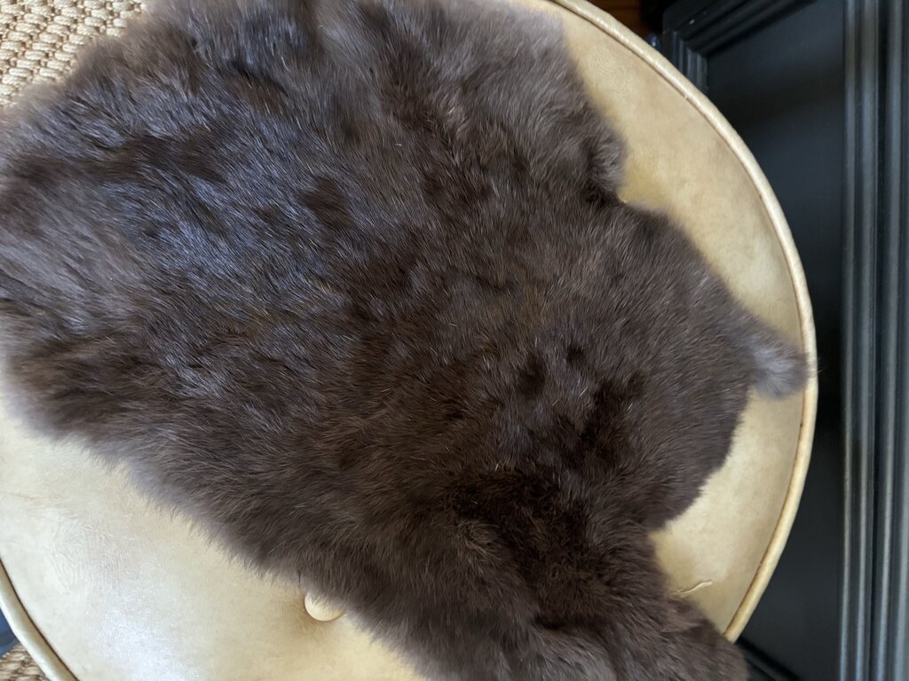 Vintage Animal Pelt 19x10