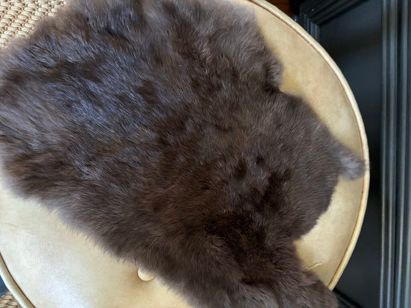 Vintage Animal Pelt 19x10