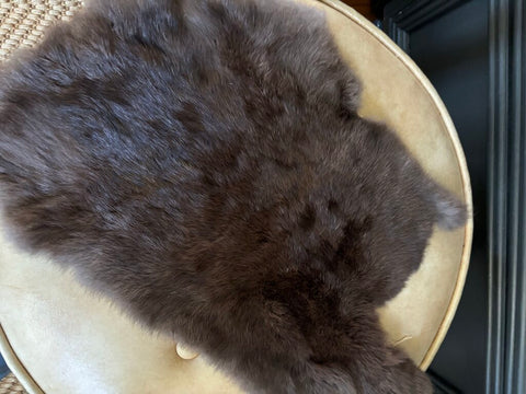 Vintage Animal Pelt 19x10