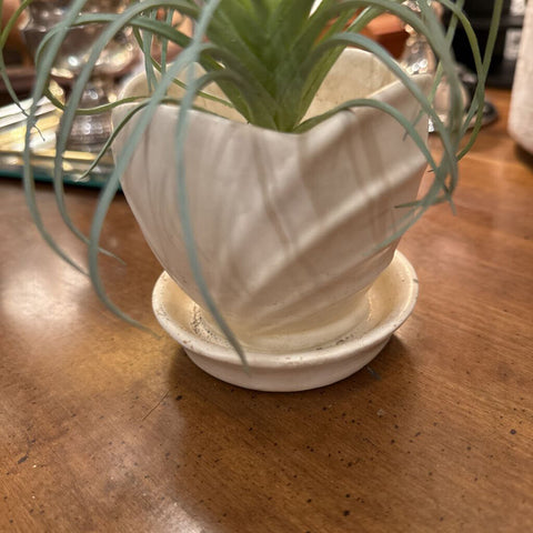 White Haegar pot and saucer