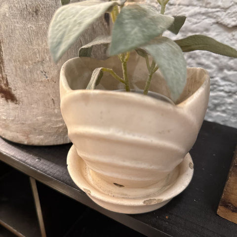 White Haegar pot and saucer