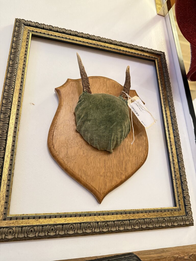 Antlers Mount
