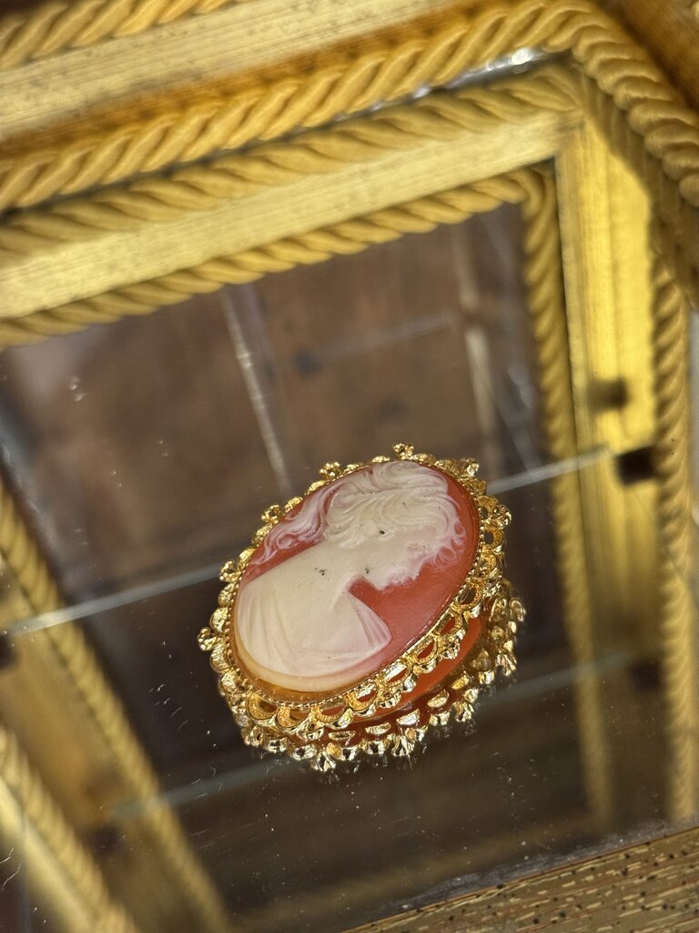 0737 Pink Cameo Brooch