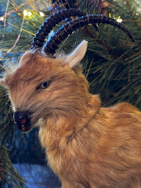 Vintage Toy Fur Covered Ram Mountain Sheep As Found 10.5T