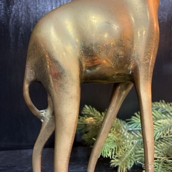 Vintage Brass Giraffe 15" x 6"