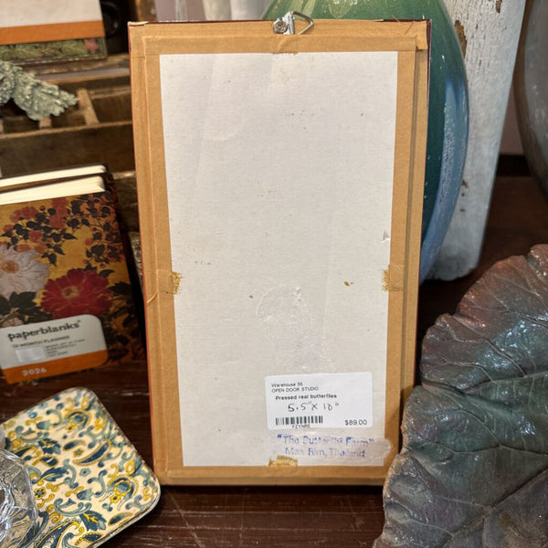 Pressed real butterflies