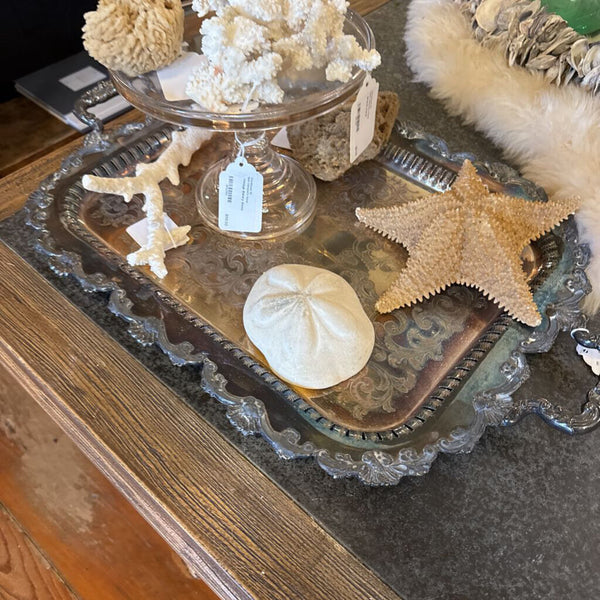 Silver Plate Tray