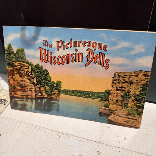JFV ~ the Picturesque Wisconsin DELL's booklet