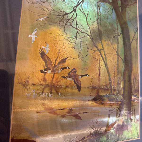 Duck art framed