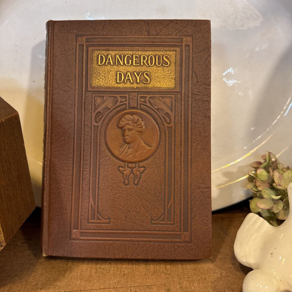 Book: Mary Robert's Richardson