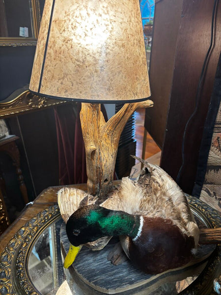 Vintage Taxidermy Mallard Duck Lamp 22H