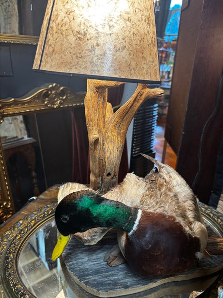 Vintage Taxidermy Mallard Duck Lamp 22H