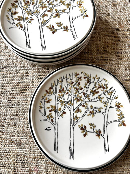 Set of 6 Vintage Mikasa Everfresh Hilltop Plates