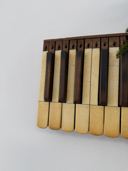 Salvage Piano Keys
