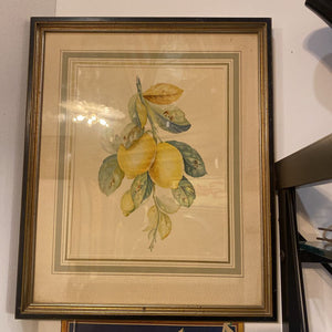 Lemon print