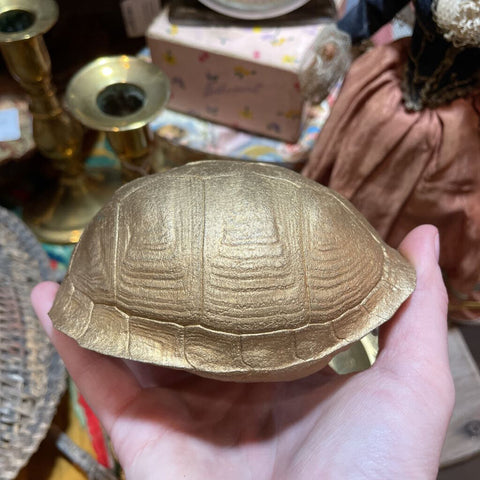 Gold turtle shell