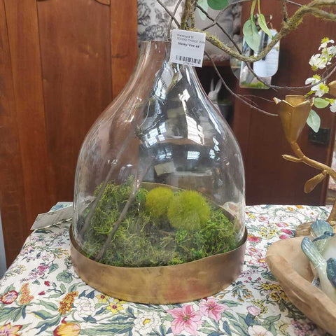 Glass Cloche with metal tray